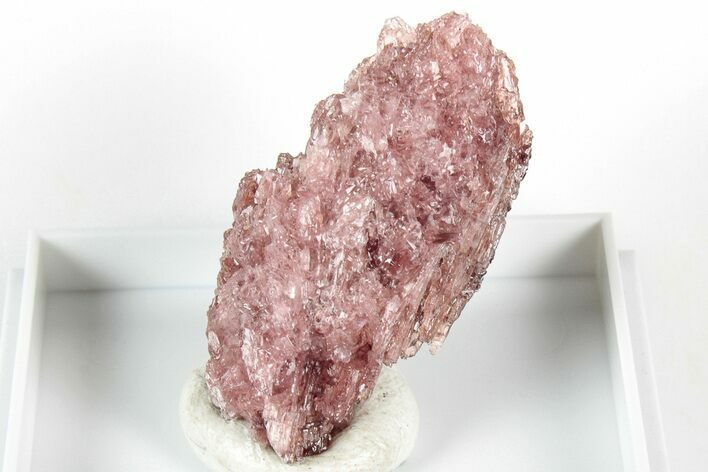 Lustrous Red/Pink Edenite Specimen - Tanzania #317056